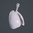 1_005.png Human Lungs