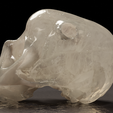 500samples.png skull head-Crane humain