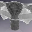 uterus-3d-model-obj-3ds-fbx-blend-13.jpg Uterus human 3D model