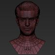 26.jpg Spider-Man Andrew Garfield bust 3D printing ready stl obj formats