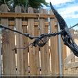 Pteranodon skeleton