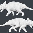 Left-Right.jpg Nasutoceratops OBJ