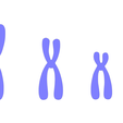 Chromosomes_NM.png Types of Chromosomes