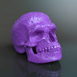 Scull-5a.png Orcish Rune Scull