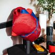 Heart-Anatomical-Model-6-Photoroom-1.jpg Heart Anatomical Model