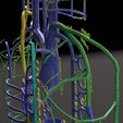 PSfinal0081.jpg Human venous system schematic 3D