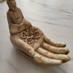 20231022_150101.jpg Buddha's hand with lotus flower