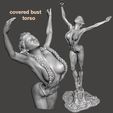 covered bust torso.jpg Descargar archivo STL gratis Ballet élfico Serie 2 - por SPARX・Modelo para la impresora 3D