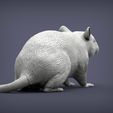 rat7.jpg Rat 3D print model