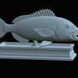 Dentex-mouth-statue-53.png fish Common dentex / dentex dentex open mouth statue detailed texture for 3d printing