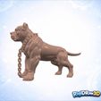 jpg_frame_22.jpg Chained Pitbull Spiked Collar Statue – RDW3D-QV8B0