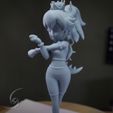 27.jpg PRINCESS BOWSETTE