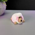 IMG_3949.jpg Cute Sheep
