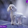 L-5.jpg Realistic Poodle dog articulated flexi toy named Luna  (STL & 3MF)