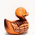0015.jpg Duck Minimalist Skeletal toy
