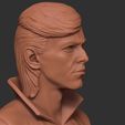 22.jpg David Bowie bust