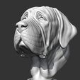04.png Spanish Mastiff Head AM30 3D print model