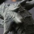 12.JPG Varanur Dragon Head - 3D Printing Files