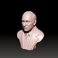 14.jpg Carl Jung 3D printable sculpture 3D print model