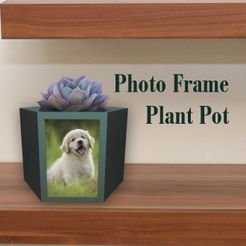 pot2close.JPG Picture Frame Plant Pot