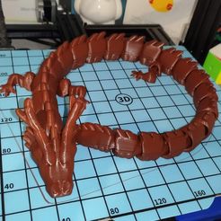 Long Dragon Flexi