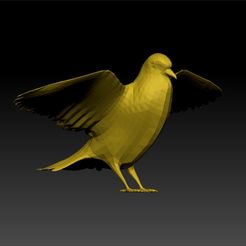 vv11.jpg Pigeon - Pigeon low poly - Pigeon for game