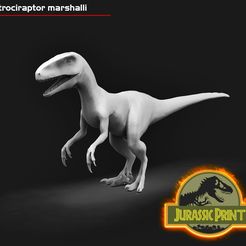 01.jpg Atrociraptor marshalli