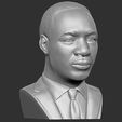 11.jpg Martin Luther King bust 3D printing ready stl obj