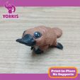 NUEVE.jpg FLEXI CUTE PLATYPUS