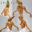 photo9.jpg Alien Girl - SPECIES Part 1- by SPARX