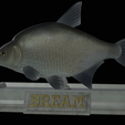 Bream-statue-18.png fish Common bream / Abramis brama statue detailed texture for 3d printing