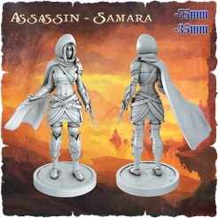samara.png 3D file Samara - Dark Fantasy Minis・3D printable model to download