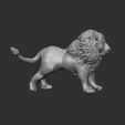 Screenshot-2024-11-04-134112.jpg Lion