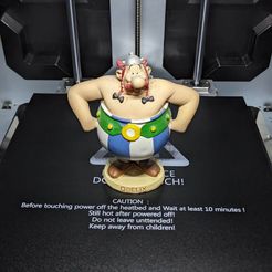 362608516_265689939528699_5361132979412237162_n.jpg obelix figurine from asterix and obelix