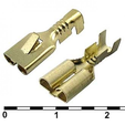 6.png Piaggio 50 8 Pin Relay Plug v2