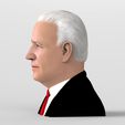 untitled.1132.jpg Joe Biden bust ready for full color 3D printing