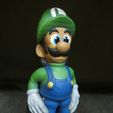 Luigi-Painted.jpg STL-Datei Luigi (Einfacher Druck ohne Unterstützung)・Modell zum Herunterladen und 3D-Drucken