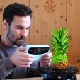 01.jpg Pineapple coasters