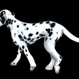 0_00029.jpg DOG - DOWNLOAD Dalmatian 3d model - Animated for blender-fbx- Unity - Maya - Unreal- C4d - 3ds Max - CANINE PET GUARDIAN WOLF HOUSE HOME GARDEN POLICE  3D printing DOG DOG