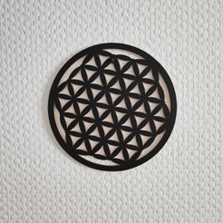 IMG_20231202_194557.jpg Flower of Life wall decor and more