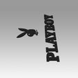 8.jpg Playboy logo