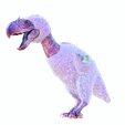 VT2.png DOWNLOAD DINOSAUR DINOSAUR Terror DOWNLOAD Bird 3D MODEL Terror Bird Terror Bird ANIMATED - BLENDER - 3DS MAX - CINEMA 4D - FBX - MAYA - UNITY - UNREAL - OBJ - Terror Bird RAPTOR DINOSAUR RAPTOR DINOSAUR DINOSAUR 3D Terror Bird