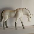 IMG_20190915_173838.jpg Archivo STL Caballo BJD・Objeto imprimible en 3D para descargar
