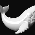 02.png Whale