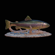 pstruh-klacky-1-7.png rainbow trout 2.0 underwater statue detailed texture for 3d printing