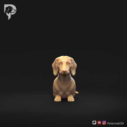 Dachshund-Miniature-Smooth-Haired-Pose-07-Dog-3D-Print-10s.jpeg Dachshund Miniature Smooth Haired Pose 07