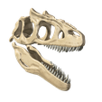 03.png Surophaganax fossilized skull