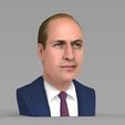 untitled.28.jpg Prince William bust ready for full color 3D printing