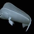 mahi-mahi-model-1-46.png fish mahi mahi / common dolphin trophy statue detailed texture for 3d printing