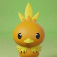 torchic-n.jpg pokemon torchic evolution pack